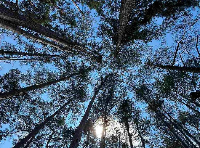 Xronis 1 Nea Michaniona