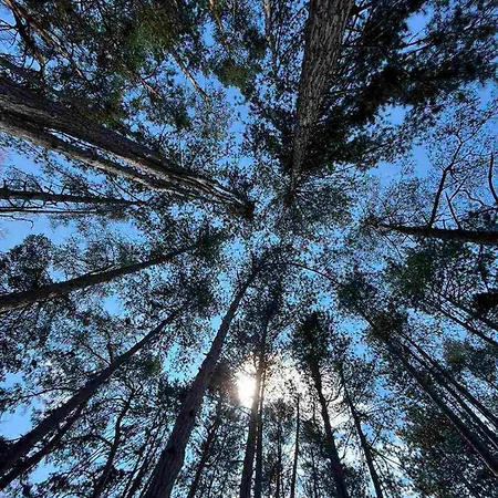 Xronis 1 Nea Michaniona